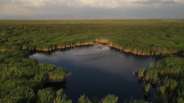 Natural Lake Laguna