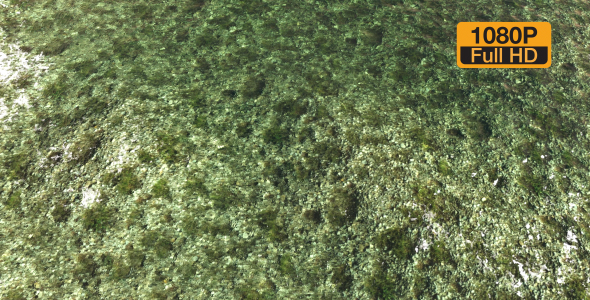 Rocky water surface alt