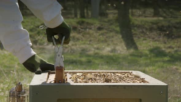 BEEKEEPING - Tool used to re a frame from a beehive, slow motion medium shot