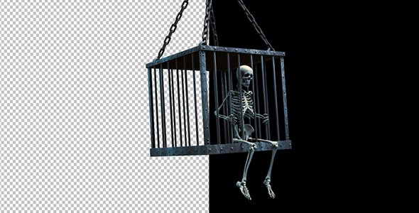 Human Skeleton In Lattice