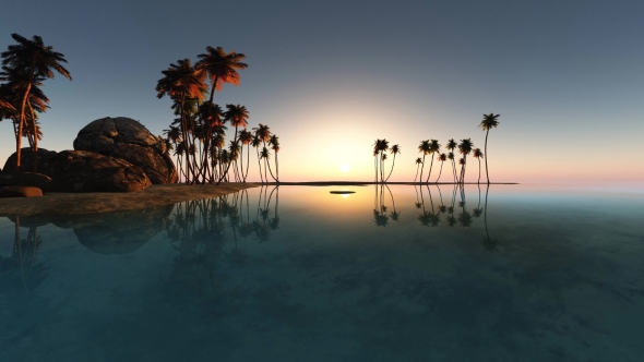 Tropical Island with Palms alt