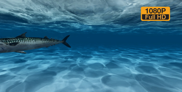 Man floating under water alt