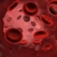 Red Blood cells - 3DOcean Item for Sale