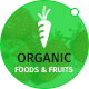 Organic Foods and Fruits PSD Template - ThemeForest Item for Sale