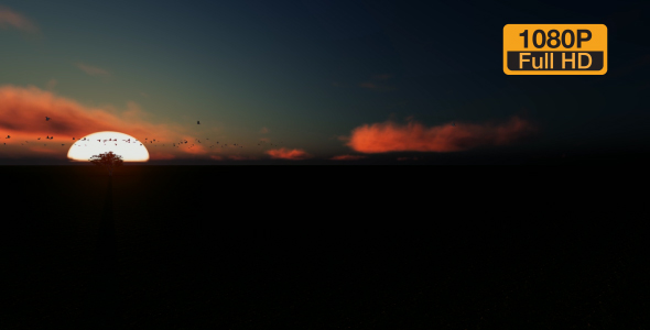 Sunset Field and Birds alt