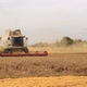 Wheat Harvesting on Field in Summer Season - VideoHive Item for Sale