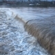 River Burst Its Banks - VideoHive Item for Sale