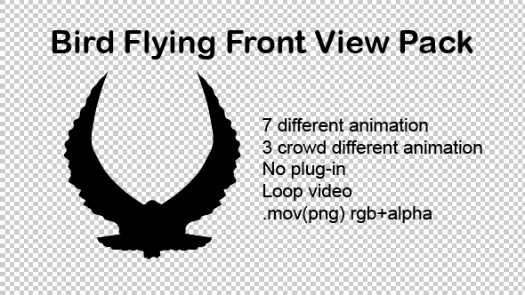 Bird Flying Front View Pack