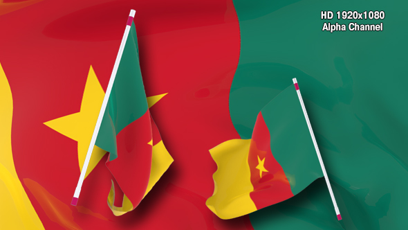 Flag Transition - Cameroon alt