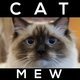 Cat Meow Pack - AudioJungle Item for Sale
