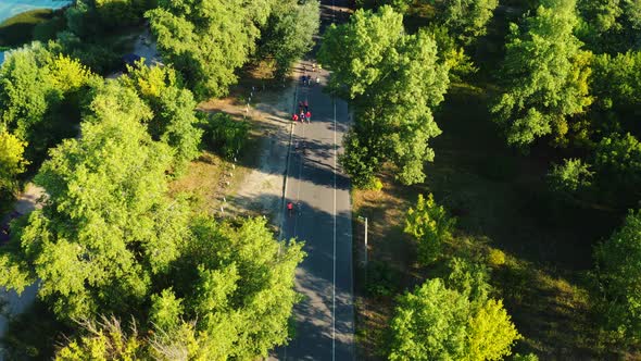 Athletes Run a Marathon on the Road in the Park on a Sunny Morning. Aerial Overall View