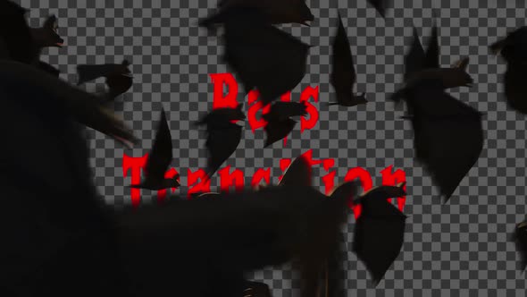 Bats Transition 01 alt