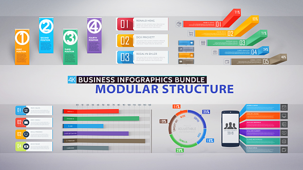 Business Infographics Bundle alt
