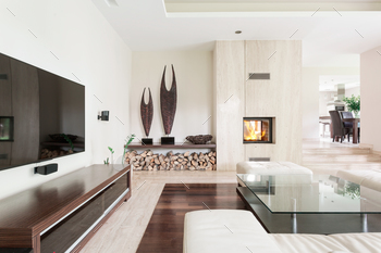 e, fireplace and TV set
