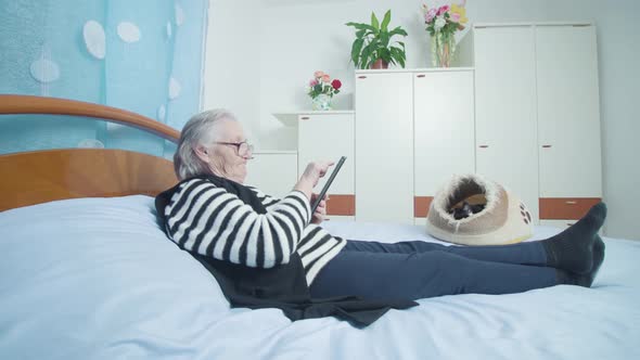 Old Woman Checks Social Media Via Tablet Lying Near Kitten