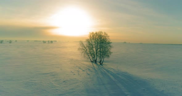 Aerial View of Cold Winter Landscape Arctic Field Trees Covered with Frost Snow Ice River and Sun