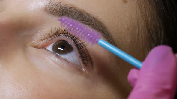 Face of Young Girl Modern Eyelash Lamination Procedure in a Professional Beauty Salon