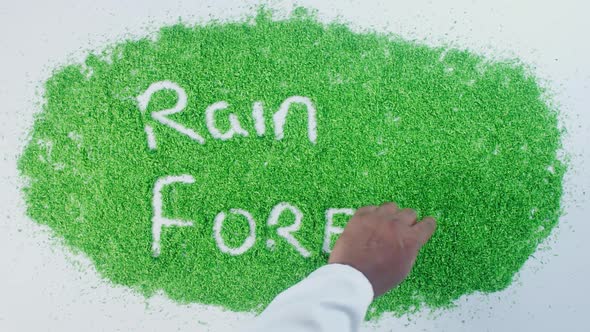 Green Hand Writing   Rain Forest