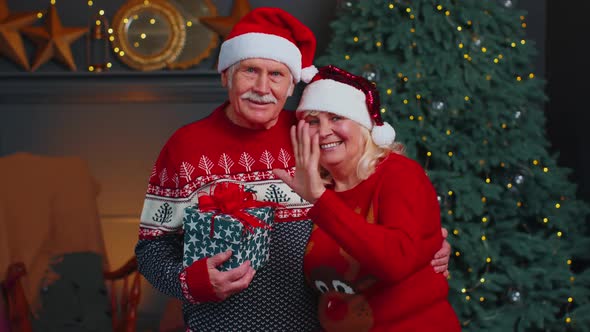 Senior Wife and Husband Looking at Camera Near Glowing Christmas Tree Waving Hello Making a Kiss