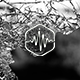 Walk on Broken Glass