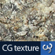Rock & Stone Texture III - 3DOcean Item for Sale