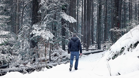 Man Walks In Forest With Snow Falling