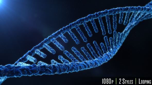 DNA Molecule Structure alt