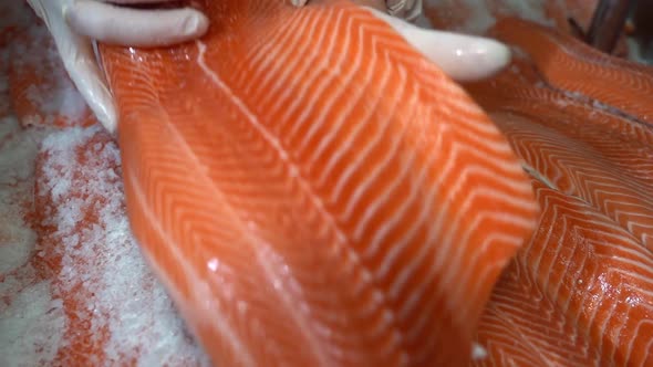 Person with rubber gloves gently laying down fresh raw salmon fillet in salt - Salted smoked salmon