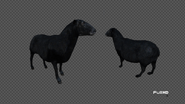 Black Sheep 3D alt