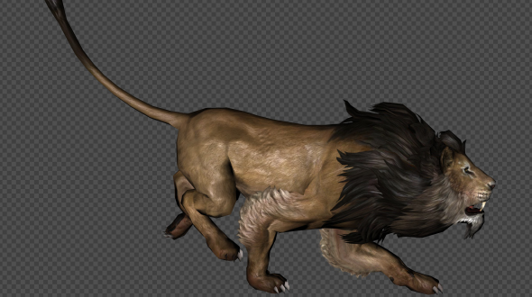 Lion Run And Walk And Walk Back Pack 6In1 alt