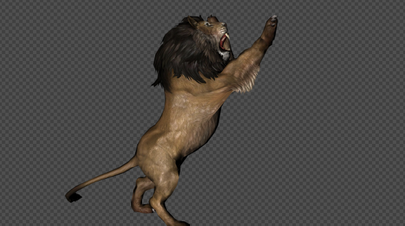 Lion Attack And Firing 6 In 1 alt