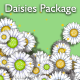 Daisies Package - VideoHive Item for Sale