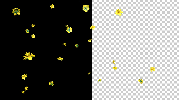 Rain of Yellow Flowers alt