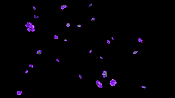 Rain of Violet Flowers alt