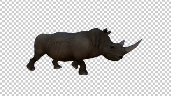 3D Rhino Walking alt