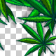 Cannabis Frame 01 - VideoHive Item for Sale