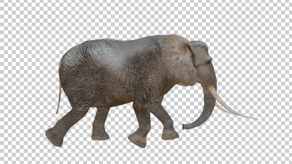 3D Elephant Walk alt