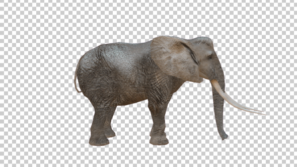 Realistic 3D Elephant alt