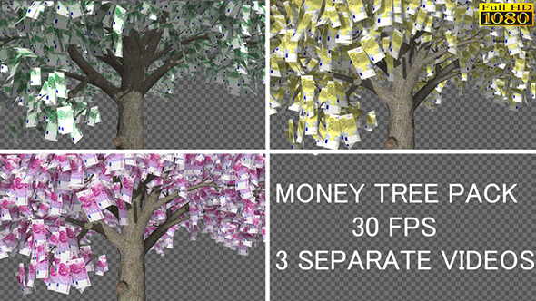 Money Tree Pack