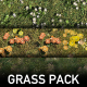Grass Texture Pack - 3DOcean Item for Sale