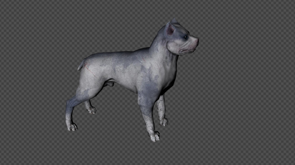 Dog Scratch And Sneeze And Resonnance And Sniff Air And Sniff Track Pack 10 In  1 alt