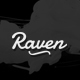 Raven -  Creative Black White Minimal WordPress Theme - ThemeForest Item for Sale