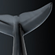 Animated Dolphin - 3DOcean Item for Sale