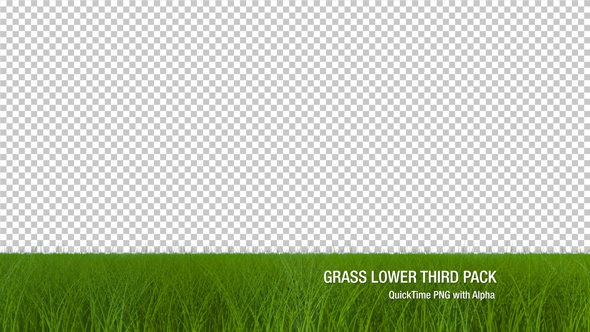 Grass Lower Third Pack