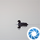 Water Bird - VideoHive Item for Sale
