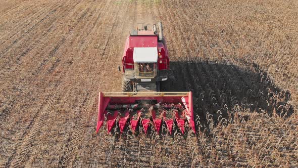 Aerial Shot of a Moving Combine Harvester Collecting Sunflower Seeds in Autumn