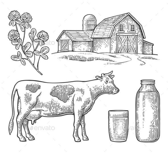 Milk Farm Set