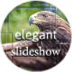 Elegant slideshow - VideoHive Item for Sale
