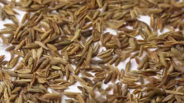 Falling dried cumin seeds from close up to full frame 