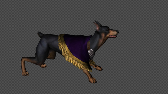 Dark Dog Attack And Firing Pack 6 In 1 alt